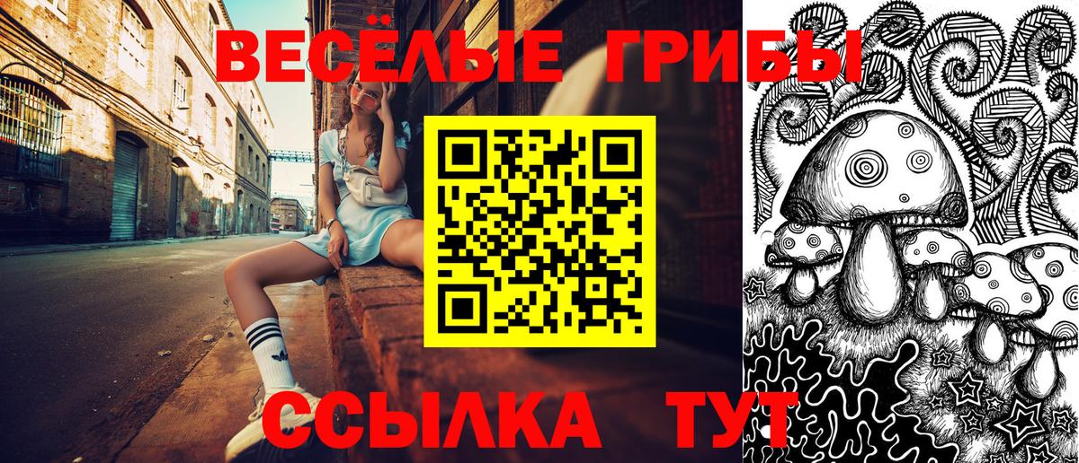 Псилоцибиновые грибы прущие грибы Нарткала