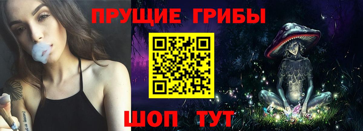 Псилоцибиновые грибы Cubensis  Вход с VPN  Нарткала 